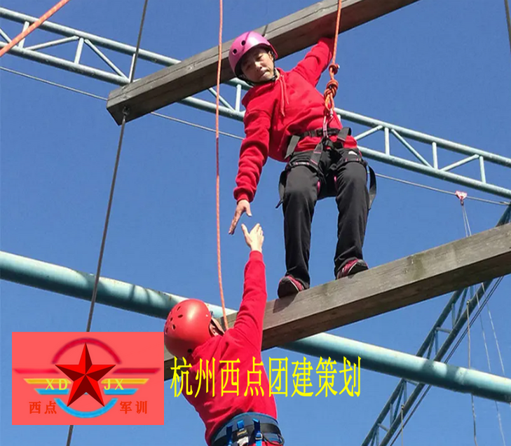 拓展培训项目：巨人天梯